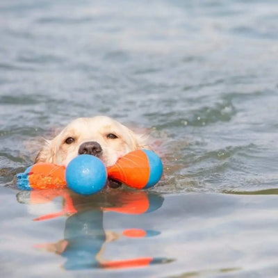 Chuckit! Amphibisches Bumper Apportier- und Schwimmspielzeug für Hunde