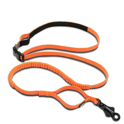 Bungee Adjust Length Elastic Leash