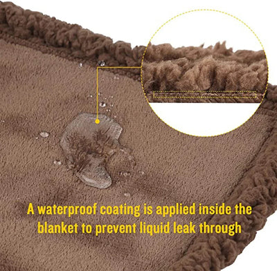 Waterproof Teddy Pet Blanket