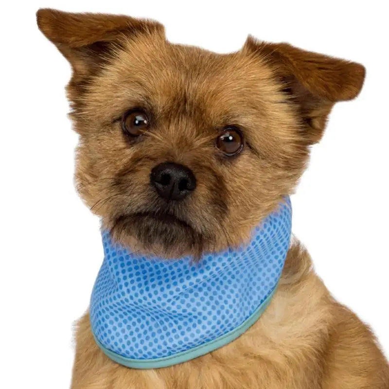 Cool Down Dog Instant Cooling Bandana