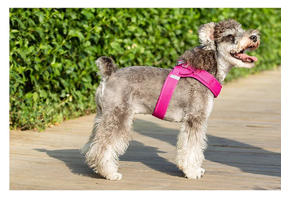 XS/ Puppy Soft Walking Vest