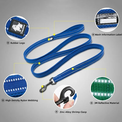 Pet Harness & Leash Set