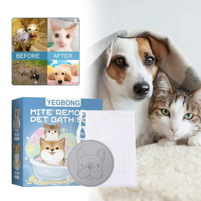 Pet Fur Smoothing Set