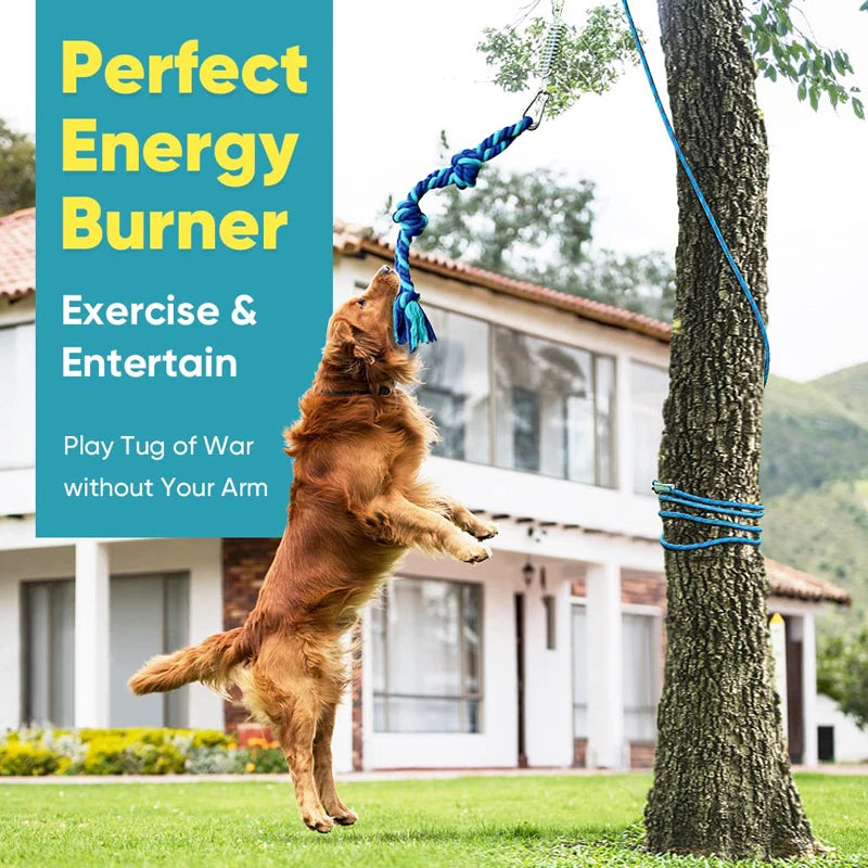 Bungee Dog Exercise Toy