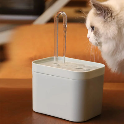 Fontaine à eau ultra silencieuse avec filtre automatique intelligent pour animaux de compagnie