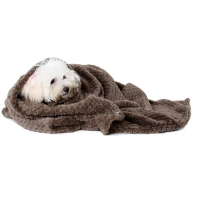 Comfort Soft Pet Blanket