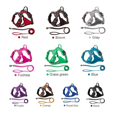 Pet Harness & Leash Set