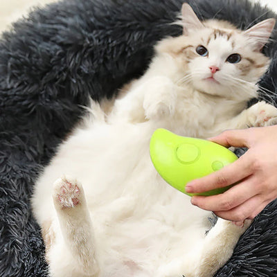 Sérum capillaire sans essence pour lavage à la brosse à vapeur pour animaux de compagnie