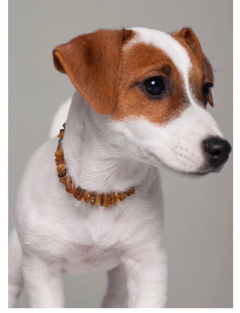 Natural Amber Pet Collars