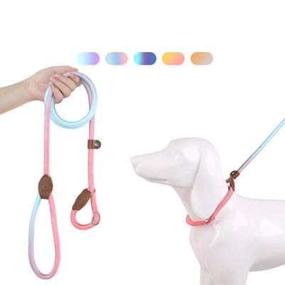 Cotton Candy Collection P Chain Dog Leash Pet Collar & Leash In One