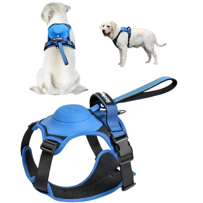 Easy Walk Dog Harnesses with Retractable Dog Leash