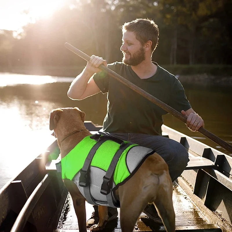 Gilet de sauvetage réglable pour chien avec poignée de sauvetage