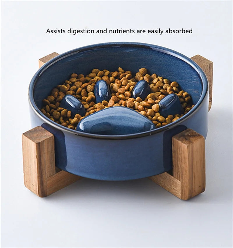 Paw Slow Food Ceramic Food Bowl for Dogs