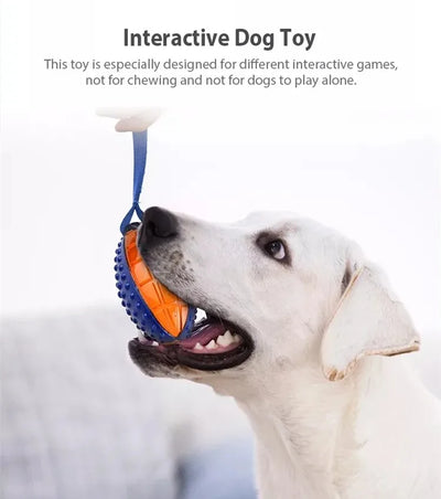 Ensemble de balles interactives pour chien Gigwi Pet Toys, taille S/M