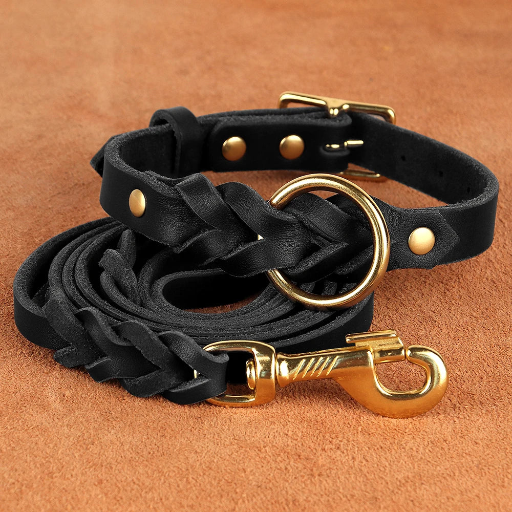 Ensemble collier et laisse pour chien en cuir tressé réglable et souple