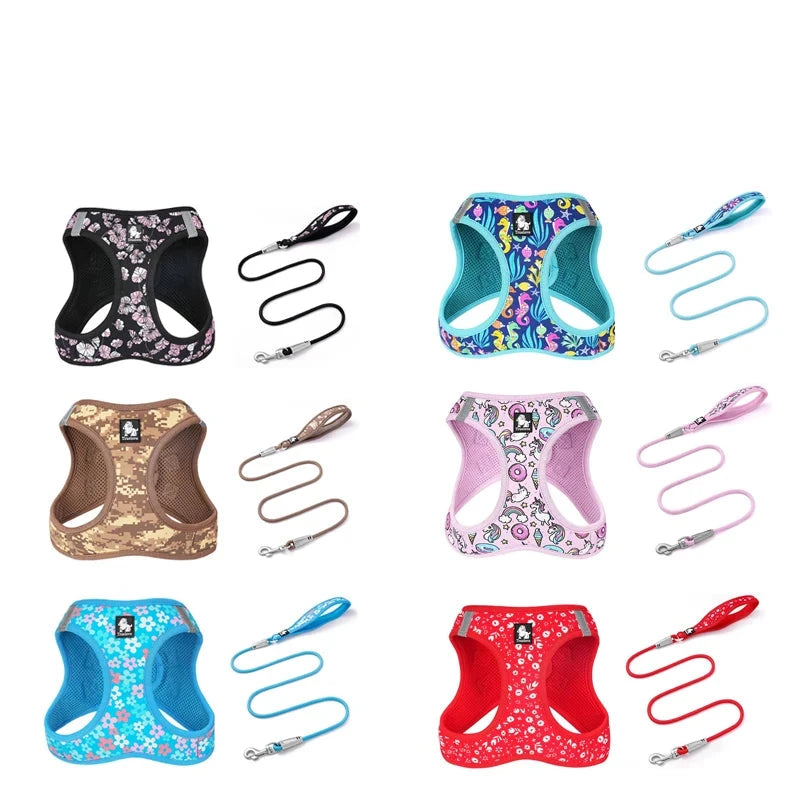 Happy Print Super Soft Mesh Pet Harness & Leash Set