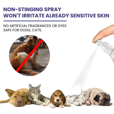 Spray multi-soins pour la peau des animaux