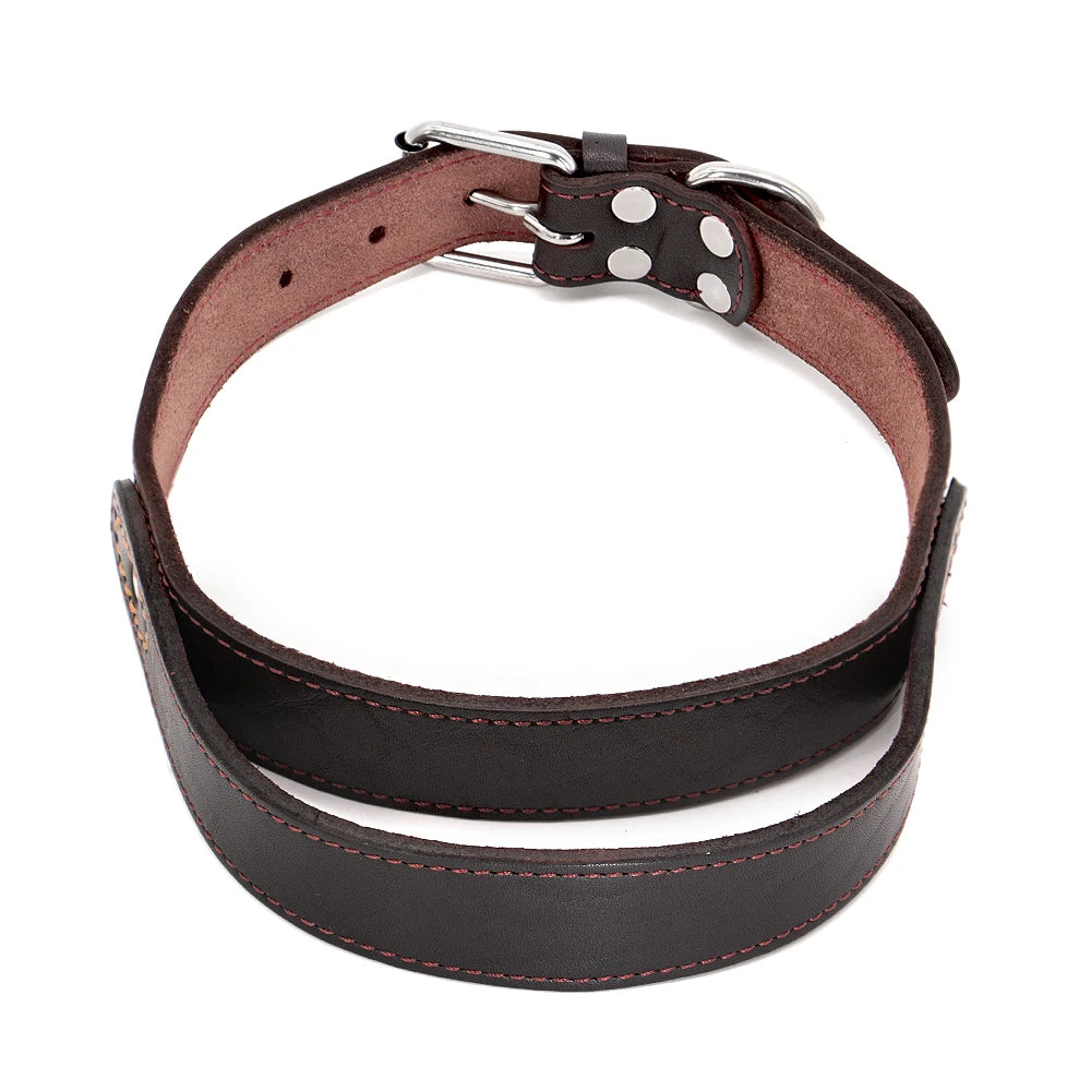 Collier pour chien en cuir Super Control avec poignée courte durable