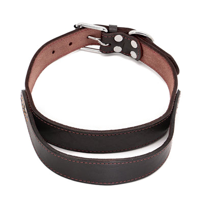 Super Control  Leather Dog Collar Durable Short Handle