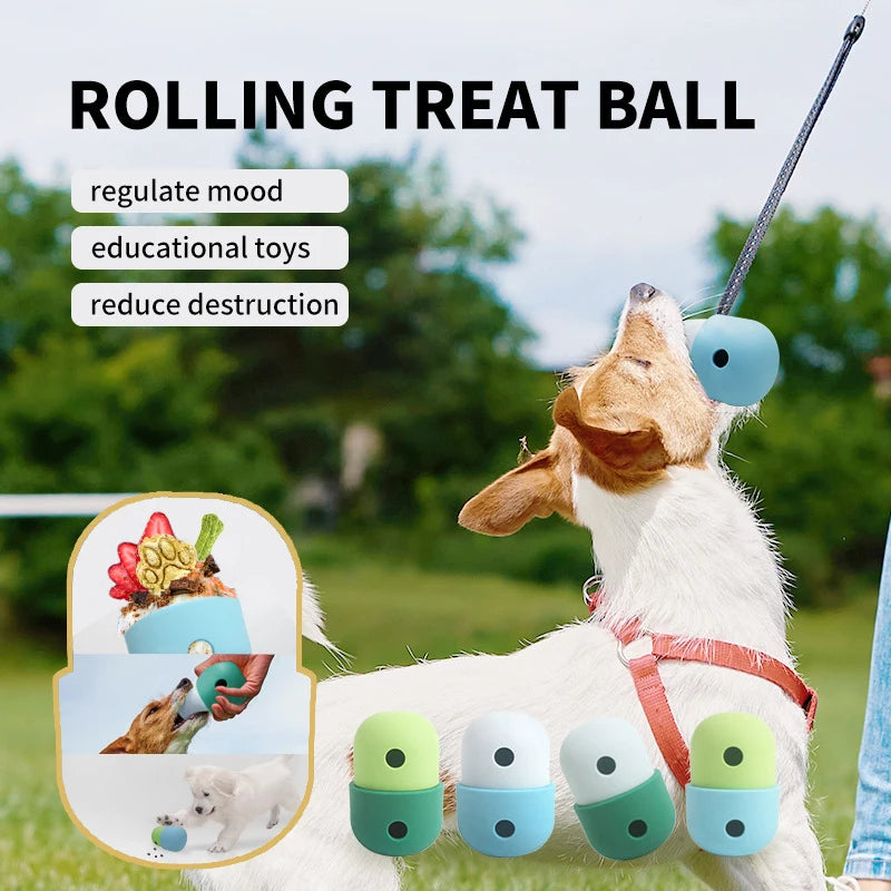 Interactive Toy for Dog  Leaking Ball Slow Feeder Bowl