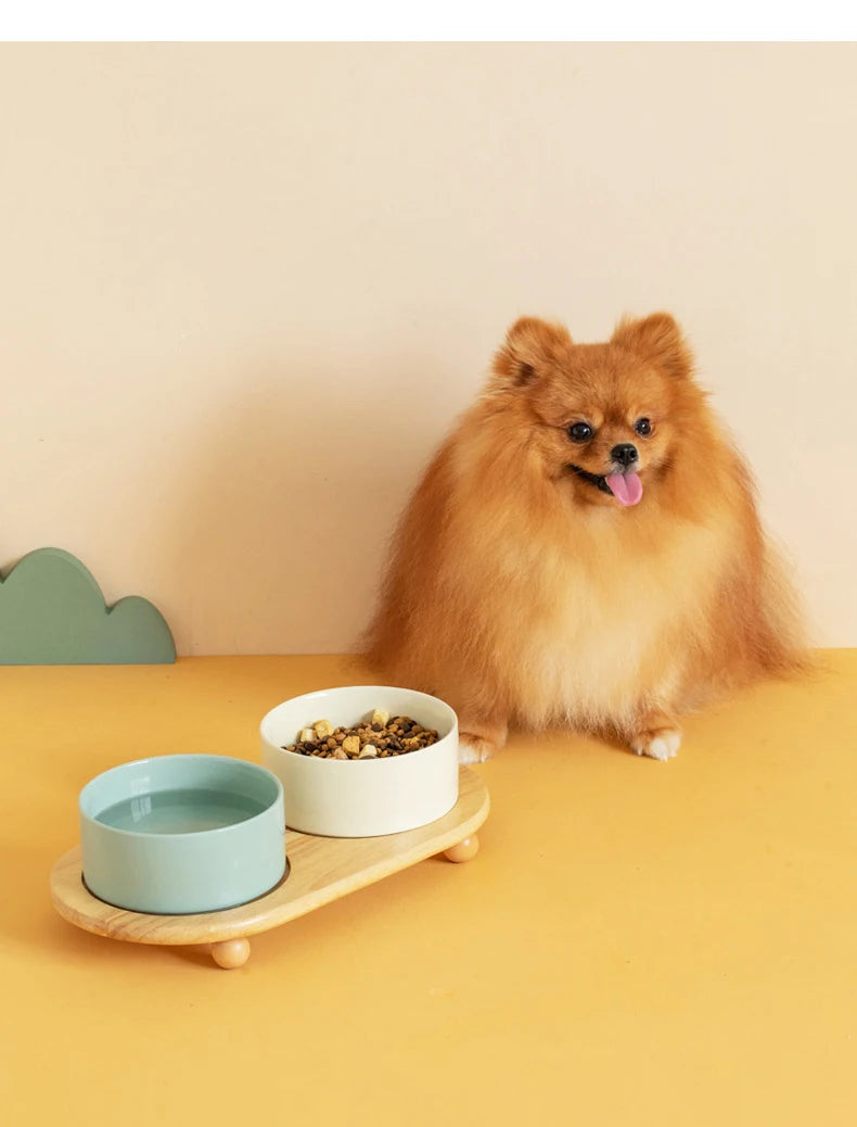 Ceramic  Food Water Bowl Elevated Pet Bowl