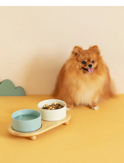 Ceramic  Food Water Bowl Elevated Pet Bowl