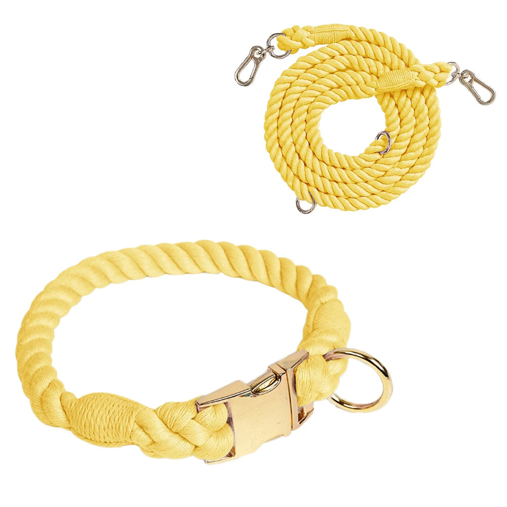 Ensemble collier et laisse pour chien Macaron