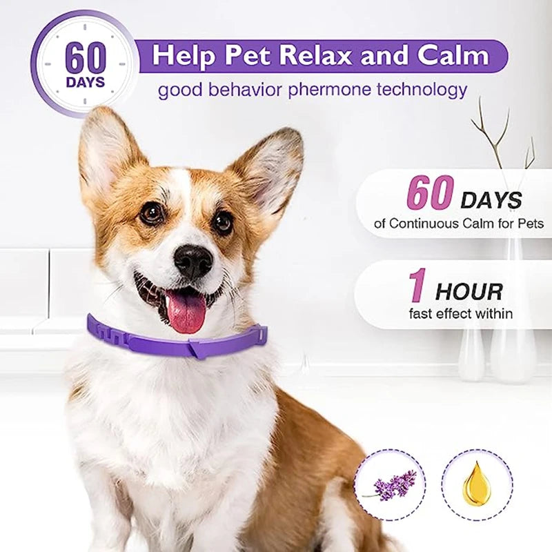 Calming Collar Cat And Dog Relieve Anxiety Protection Retractable Collars