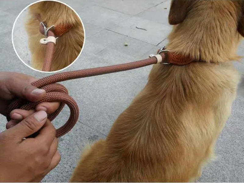 Dog Leash Slip Rope Lead Leash Loop Collar Dog Size M