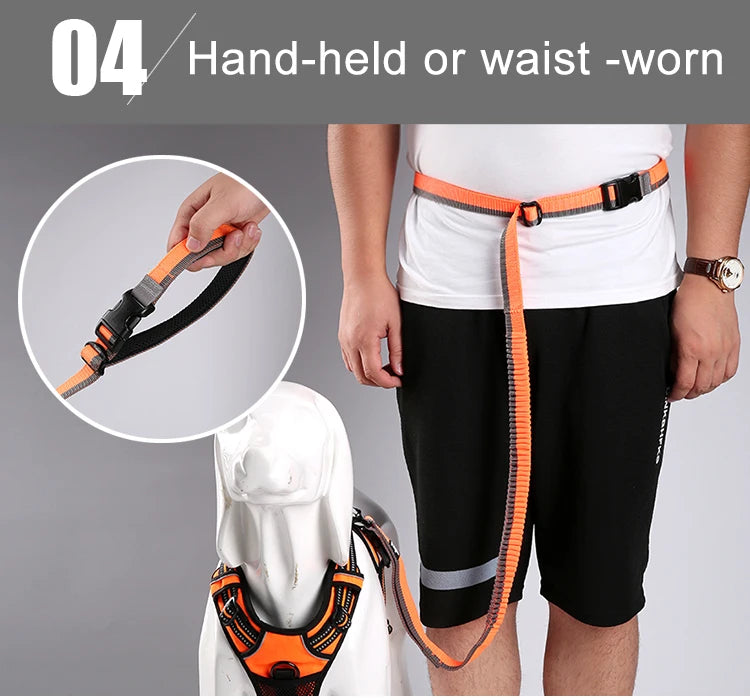 Running Bungee Leash Hands Free Dog Leash