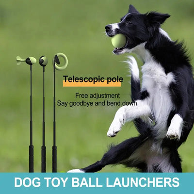 Dog Toys Throwing Stick Hand Training Toy