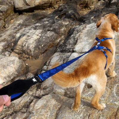 Comfort Touch Long Dog Leash Safety Hook