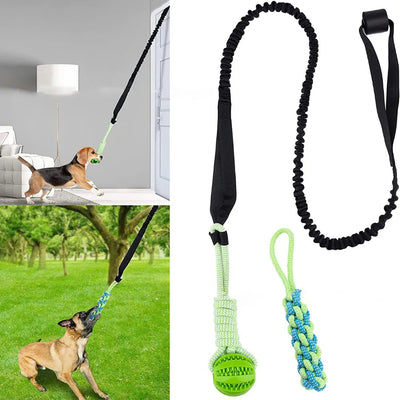 Interactive Dog Spring Rope Outdoor & Indoor Hanging