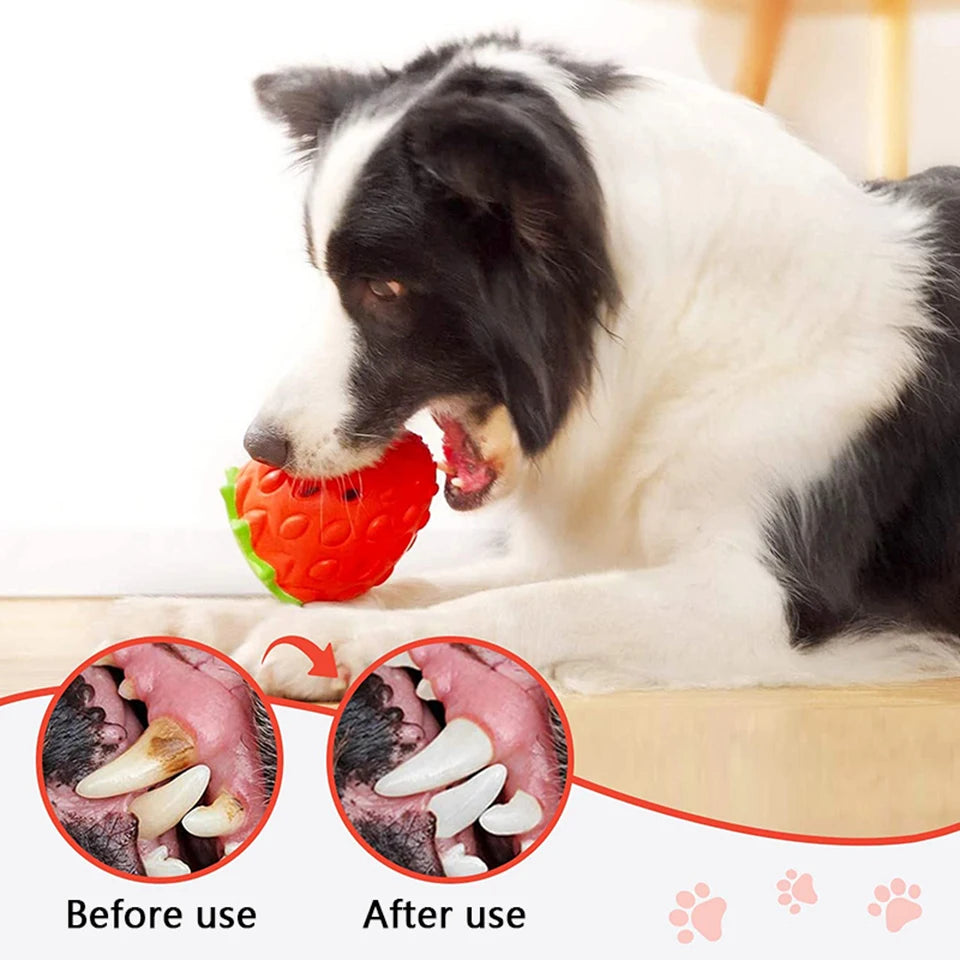 Strawberry Rubber Food Leaking Chew Toy