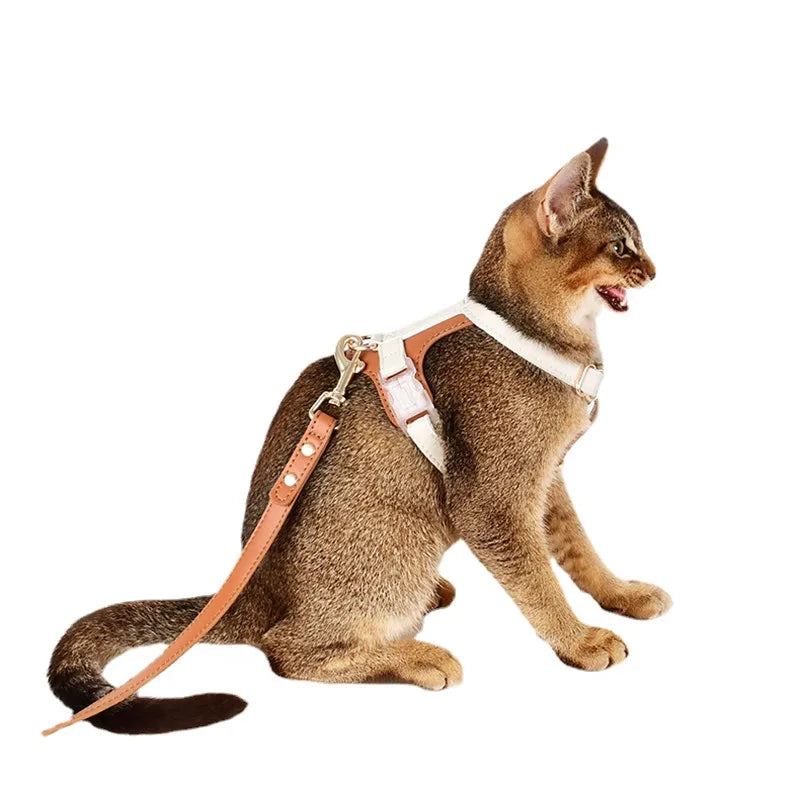 Cat & Puppy Soft Leather Harness Waterproof Leash