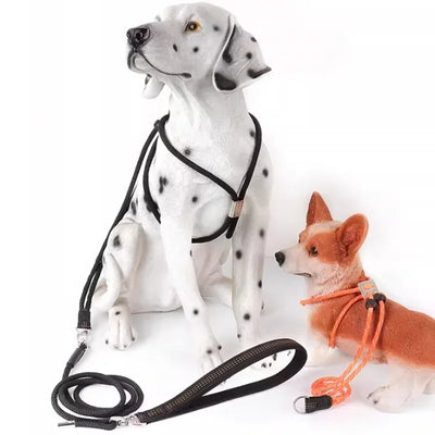 Anti-Break-Free 2in1 Dog Harness Leash