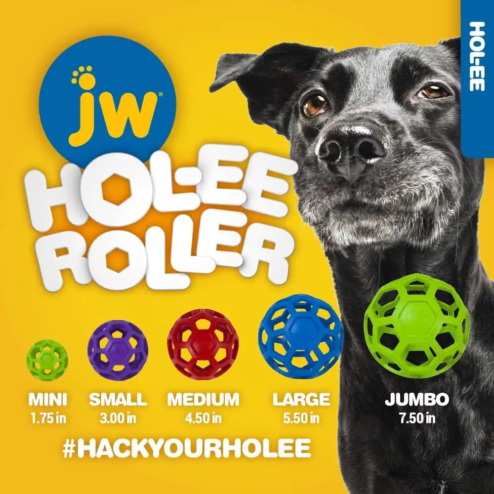 JW Hol-ee Roller Dog Fetch Treat Dispenser Puzzle Ball