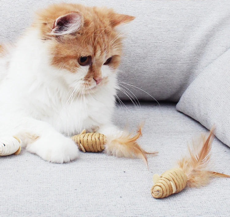 Katzenspielzeug, Mäusefeder, Sisalseil, 5-tlg.