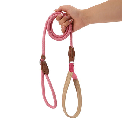 Candy Collection P Chain Dog Training Leash Collar Anti-Choking