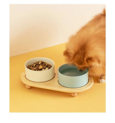 Ceramic  Food Water Bowl Elevated Pet Bowl