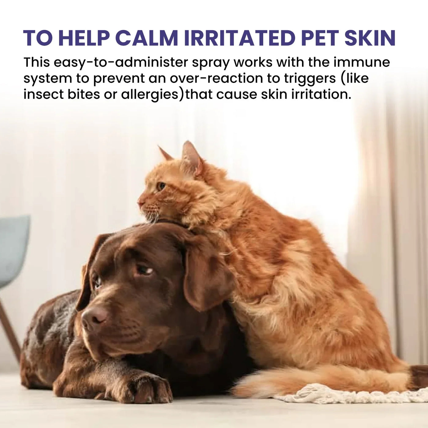 Pet Skin Multi Care Spray