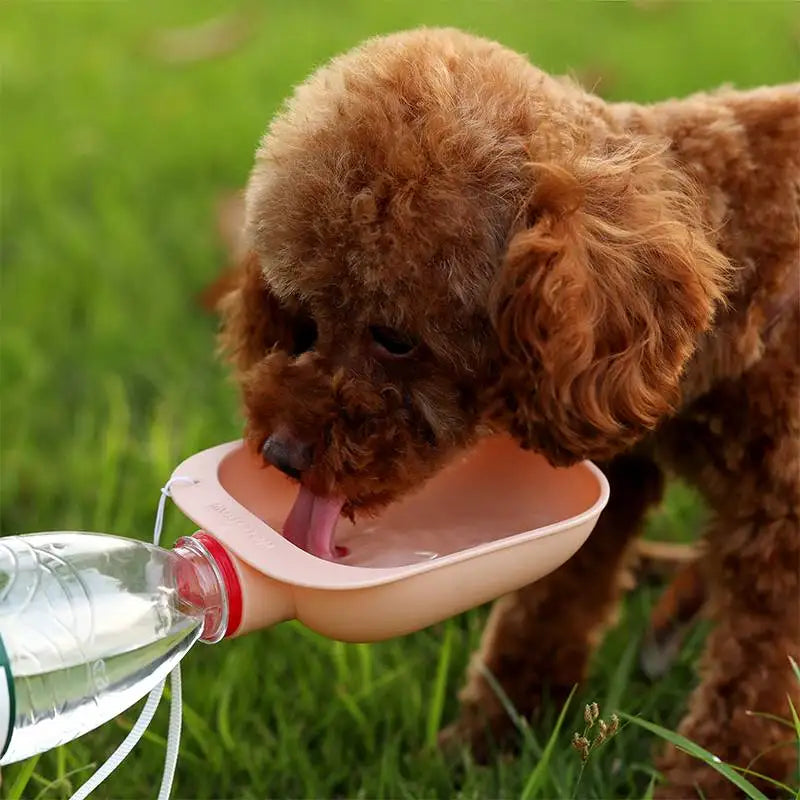 Bouchon de bouteille d'eau de voyage pour animaux de compagnie