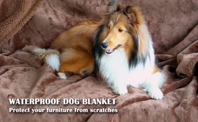 Waterproof Teddy Pet Blanket