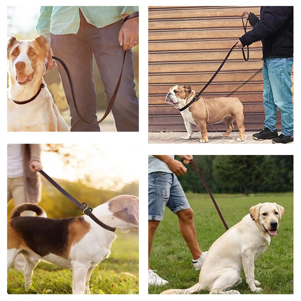 Deluxe Hundehalsband und Hundeleine aus Leder, einteilig, verstellbar, für große Hunde