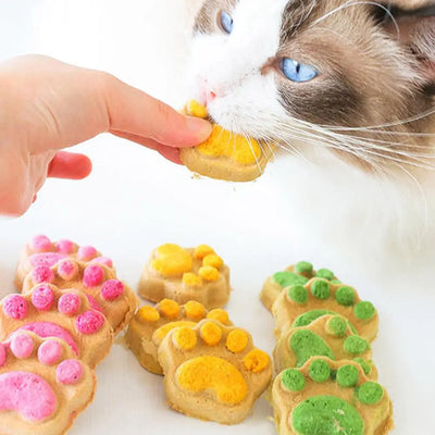 NOUVEAU Snack pour pattes lyophilisées pour chats et chiens