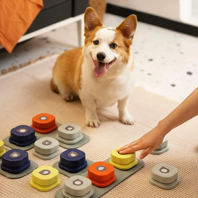 Dog Button Record Talking Pet Communication Vocal