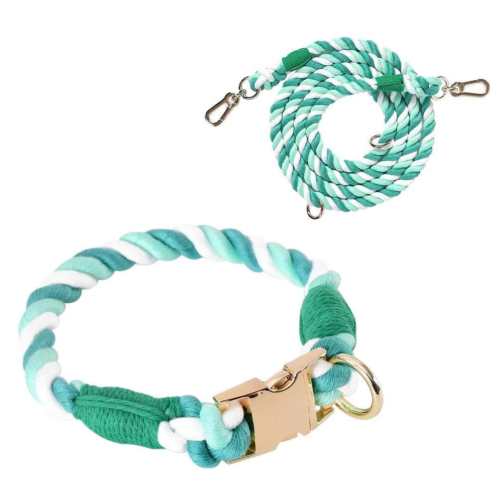 Ensemble collier et laisse pour chien Macaron