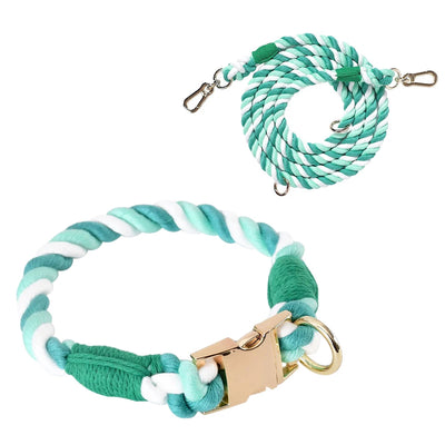 Ensemble collier et laisse pour chien Macaron