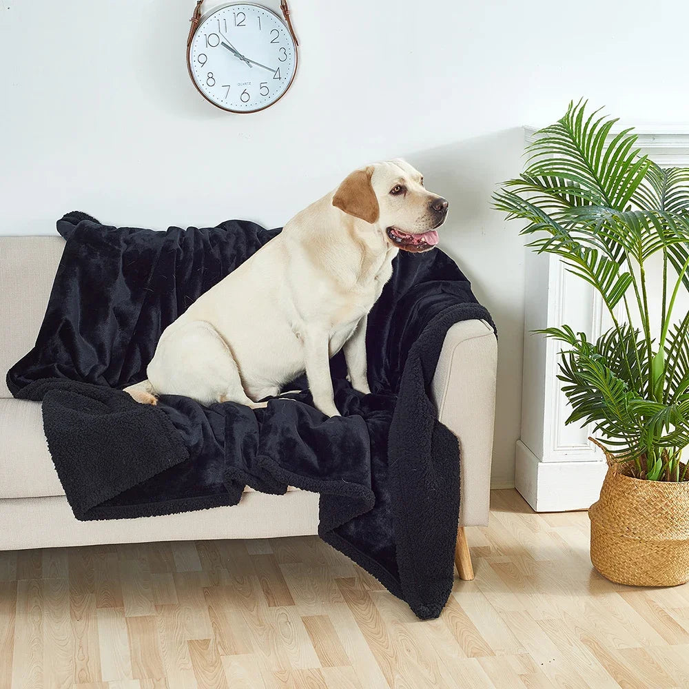 Waterproof Teddy Pet Blanket