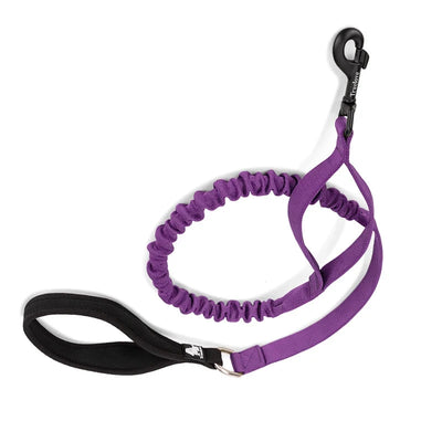 Comfort Touch Bungee Dog Leash